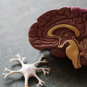 زلزال الجسد المباغت: دليل طبي متكامل لفهم أعراض نوبات الهلع وكيفية السيطرة عليها